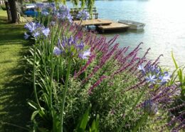 Jardin en Talar del Lago 1